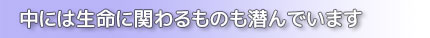 中には生命に関わるものも潜んでいます